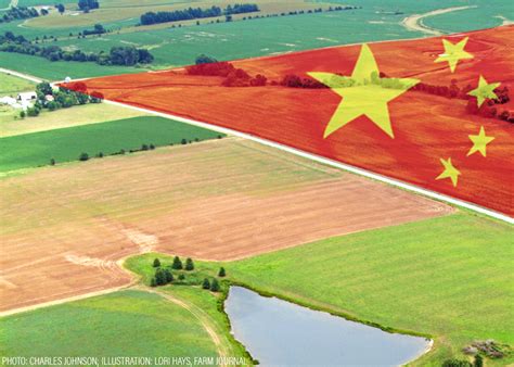 who buys china in my area